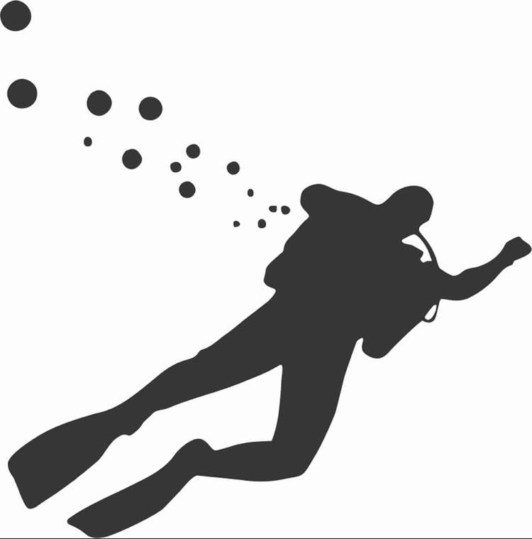 Scuba Diving Decal NZ Made #005#