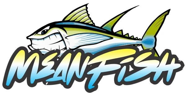 Meanfish x4 Braid Fishing Line 1000M Multi